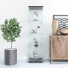Glass Display Cabinet with 4 Shelves, Curio Cabinets for Living Room, Bedroom, Office, Black Floor Standing Glass Bookshelf, Quick Installation, 64.7*